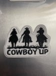 Iron On Cowboy Patches, Qty 8